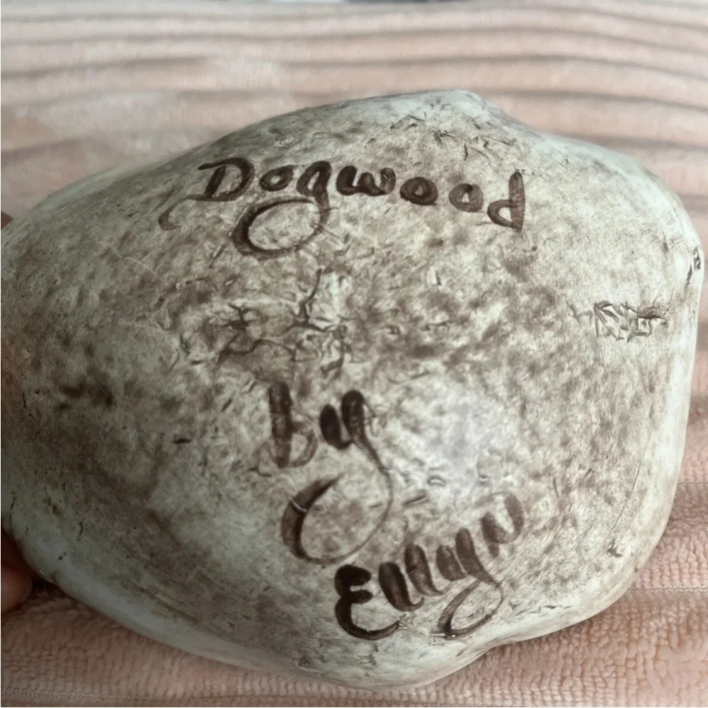 Dogwoods By Ellyn Handcrafted Pottery Trinket Dish Rare Unique Country Style